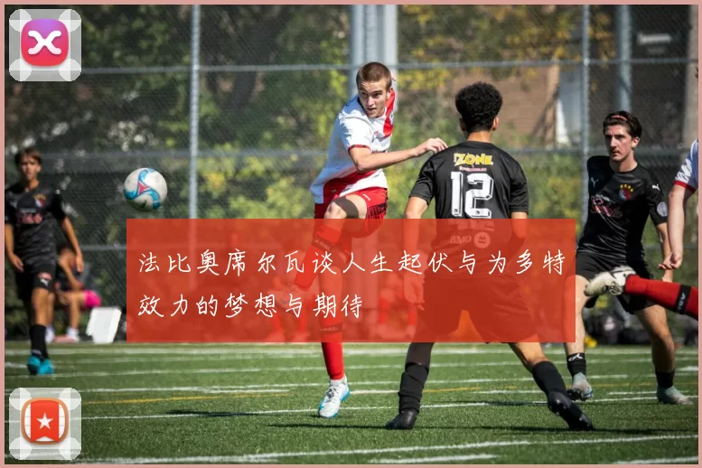 法比奥席尔瓦谈人生起伏与为多特效力的梦想与期待