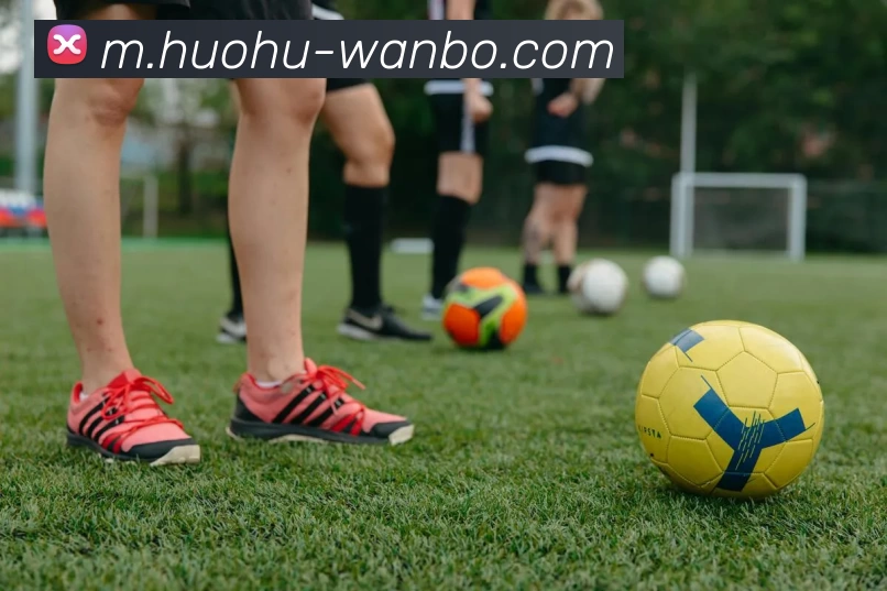 万博体育平台生态图